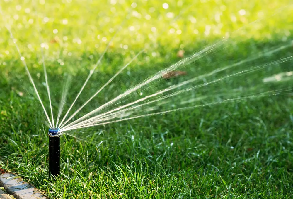 Sprinkler system efficiently watering grass, showcasing the potential for water conservation and lawn health.