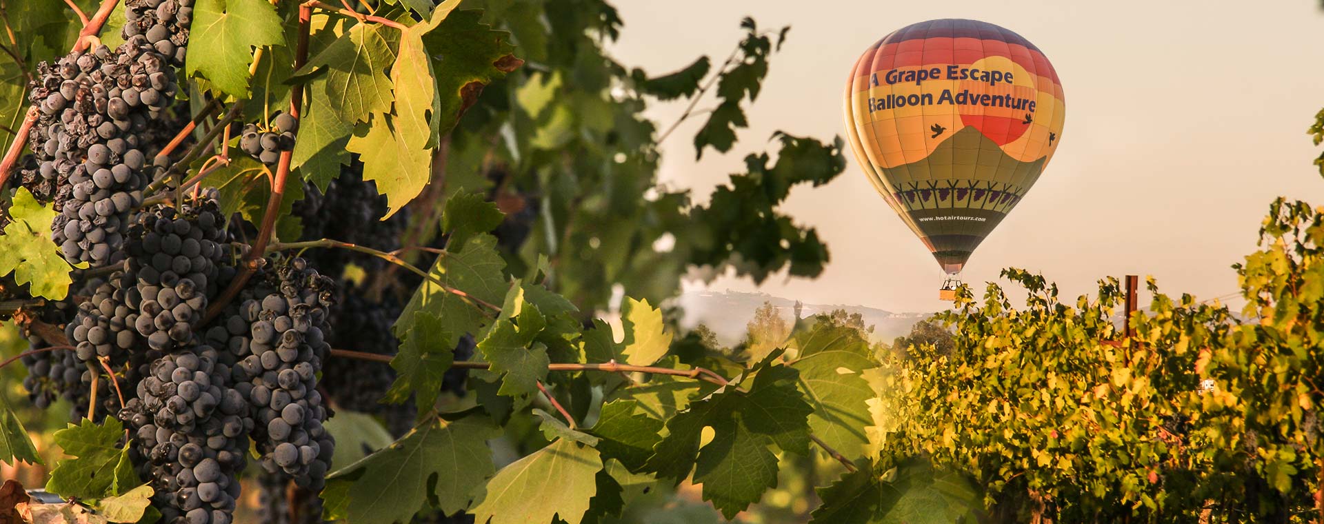 Experience unmatched safety and breathtaking views with A Grape Escape's certified adventures in Temecula.