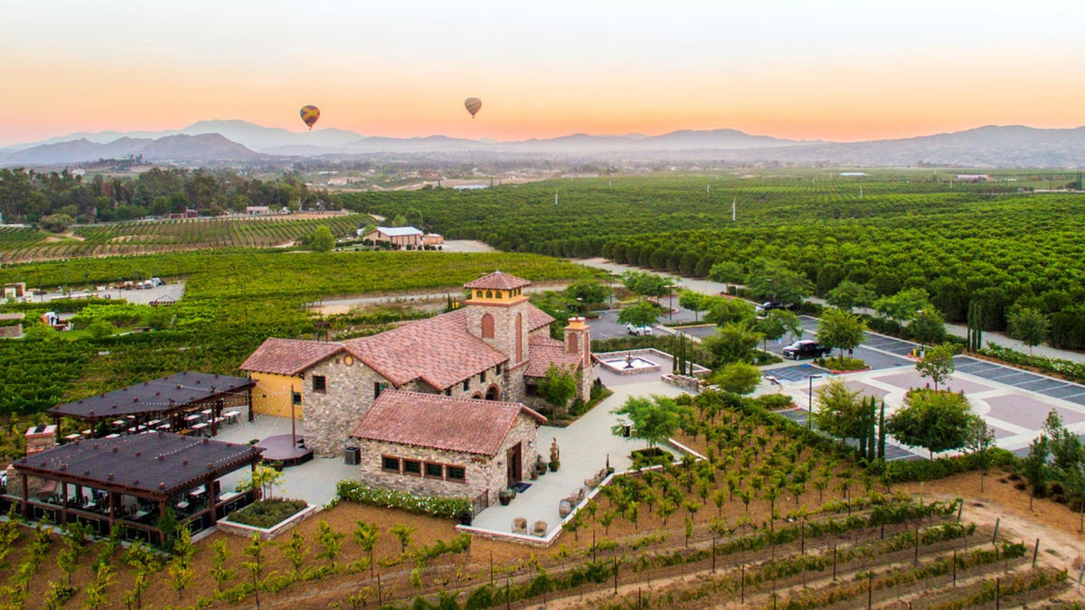 Experience the enchanting fusion of wine, art, and music at Lorimar Vineyards & Winery.