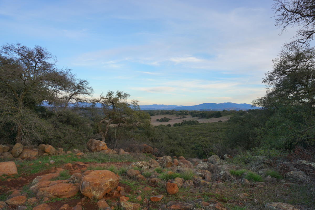 Santa Rosa Plateau: A scenic drive away from central Temecula offers natural beauty by car.