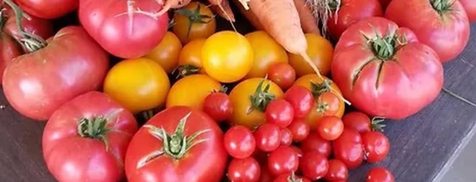 Website view of Vail Headquarters Farmers Market, offering a glimpse into the market's attractions.