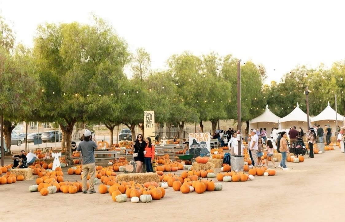 Peltzer Pumpkin Farm offers family-friendly festival activities in a wine country setting.