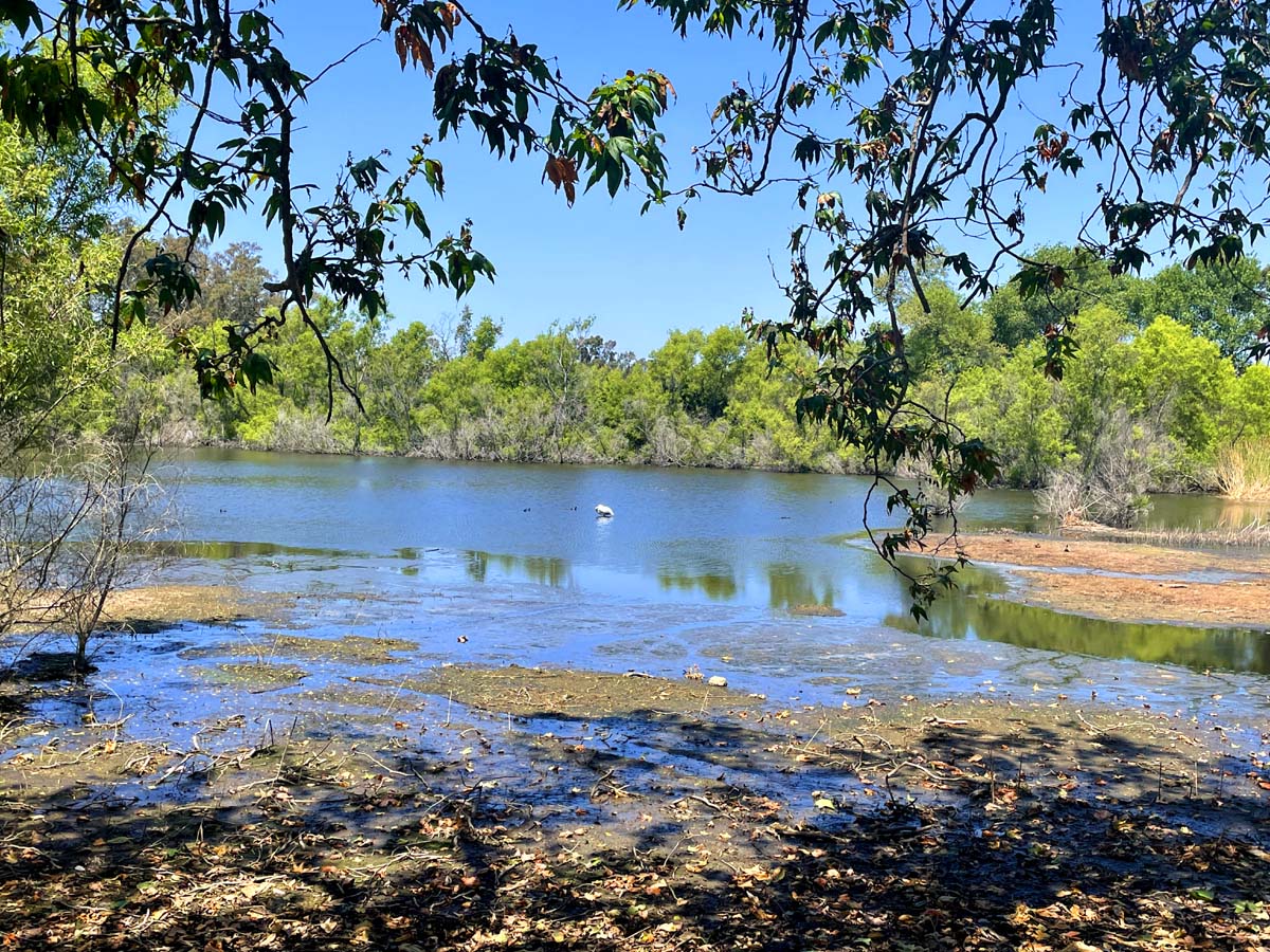 Temecula’s peaceful Duck Pond and Veterans Memorial, reflecting the city’s public commitment to honoring veterans.