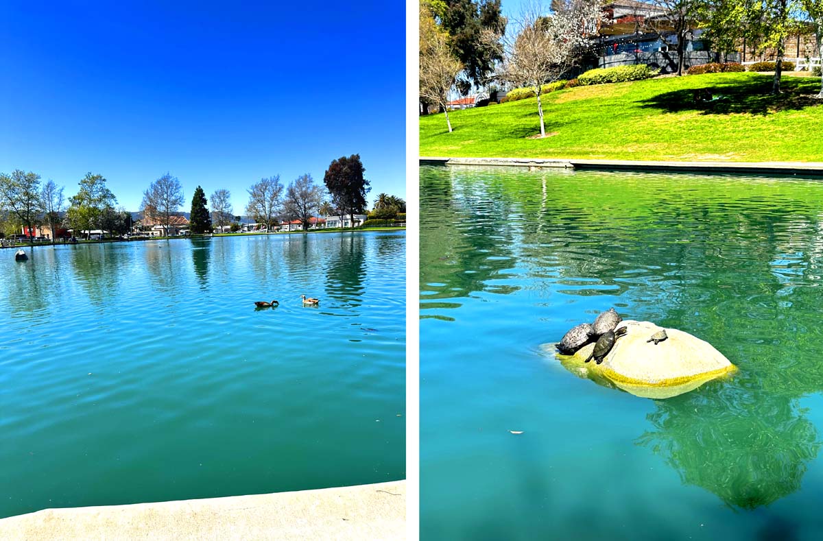 Community members gather near the Duck Pond and Veterans Memorial during a commemorative event in Temecula.