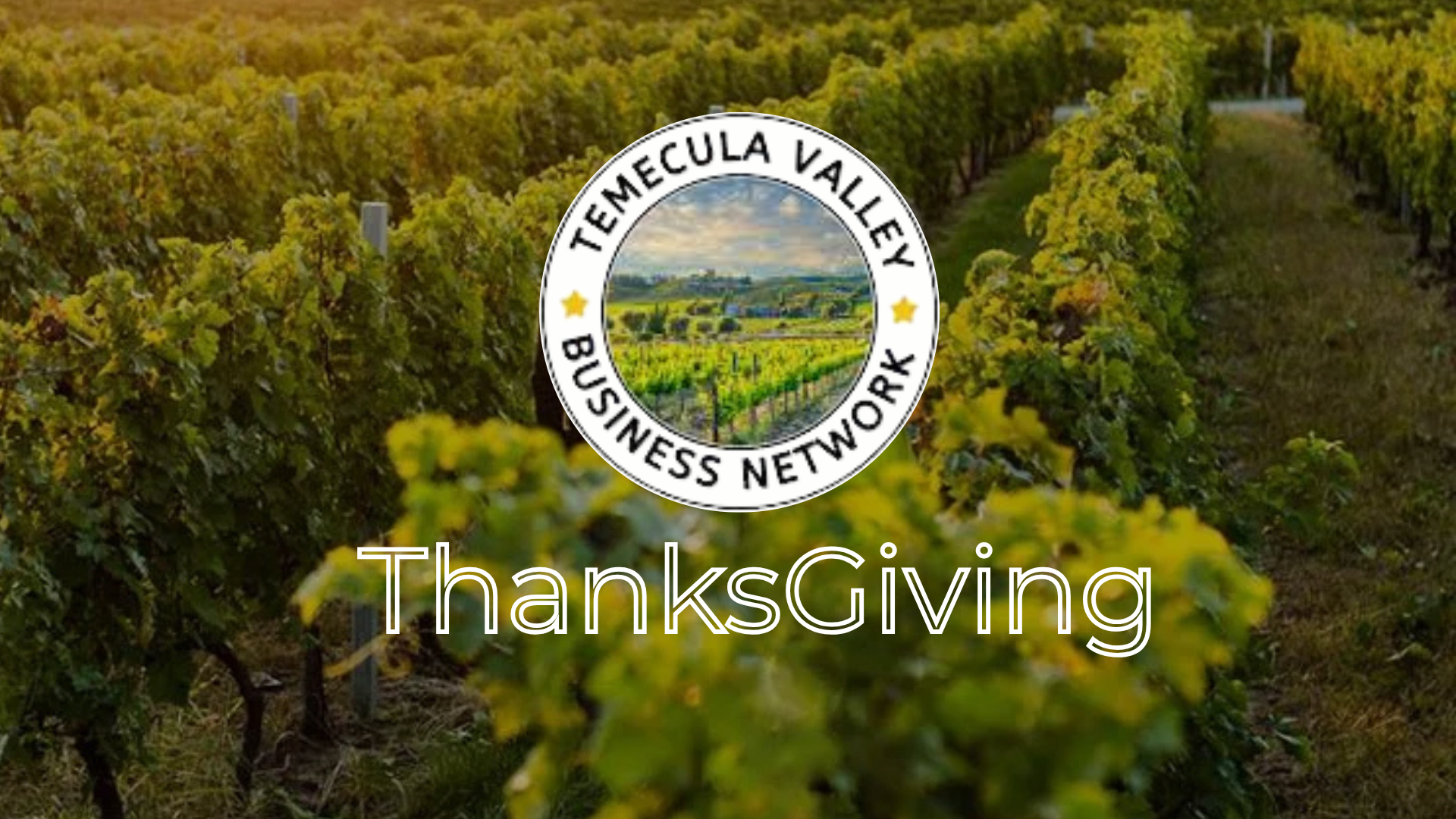 TVBN brings sponsors and non-profits together to support Temecula’s community initiatives.